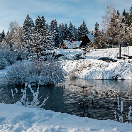 Pansion Risnjak Hotel 4*