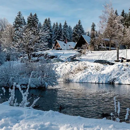 Hotel Pansion Risnjak 4*