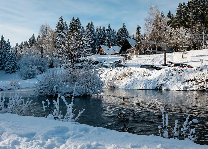 Pansion Risnjak Otel 4*