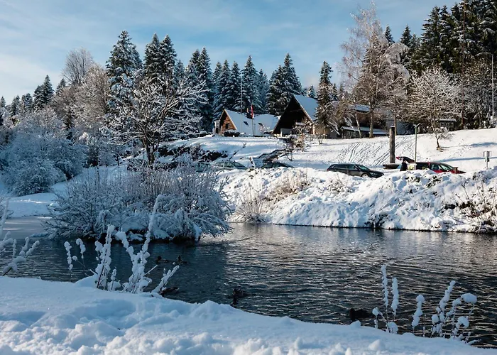 Otel Pansion Risnjak 4*