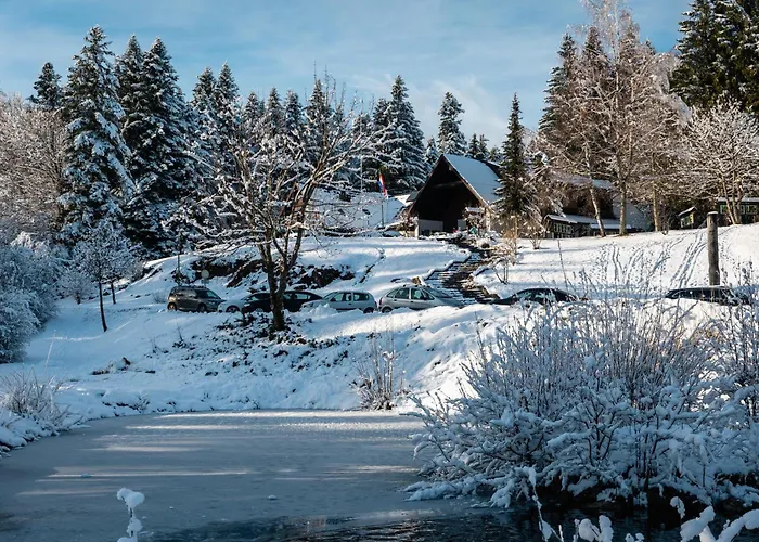 Pansion Risnjak Crni Lug