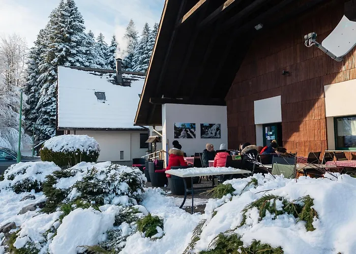 Pansion Risnjak 4* Crni Lug